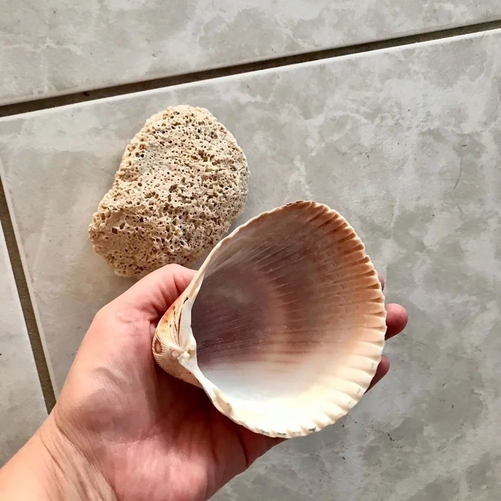 Custom shell bundle — PLEASE READ - Picture 16 of 16